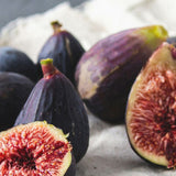 Fig Body Oil