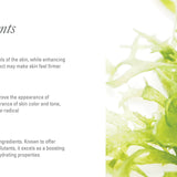 Pure Start Gentle Detoxifying Facial Cleanser