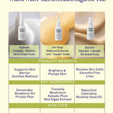 Replenish Ceramides + Blueberry Barrier Repair Serum