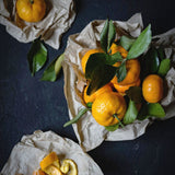 Luminous Oil | Geranium + Orange